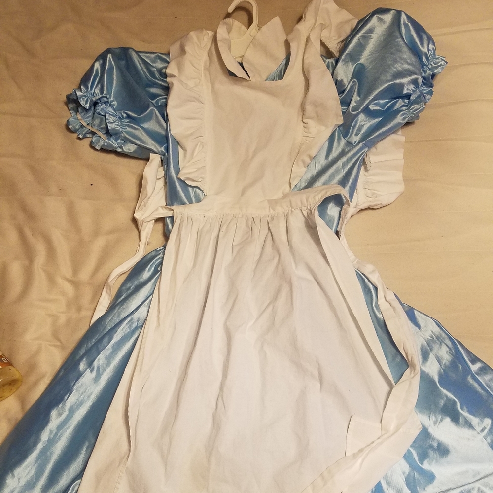 Alice in wonderland dress